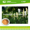 Nature Honeysuckle Powder Extract 5%~98% Chlorogenic Acid, Pure Honeysuckle Powder Extract Honeysuckle P.E.,